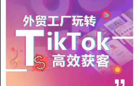 外贸工厂玩转TikTok高效获客，多种引流方式与账号定位技巧，拆解爆款短视频打造成功案例-梦凌网创