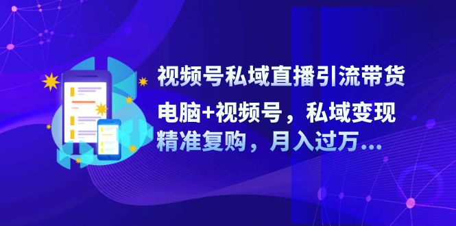 视频号私域直播引流带货：电脑+视频号，私域变现，精准复购，月入过万…-梦凌网创