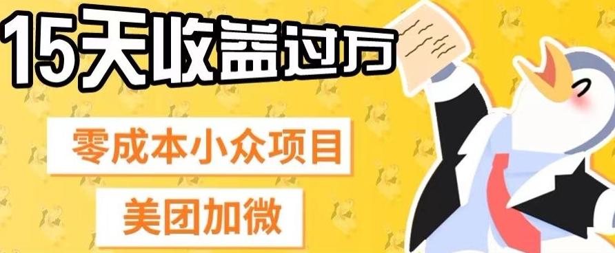 零成本小众项目，美团加微，一单4.5+，15天已经有人赚上万收益-梦凌网创
