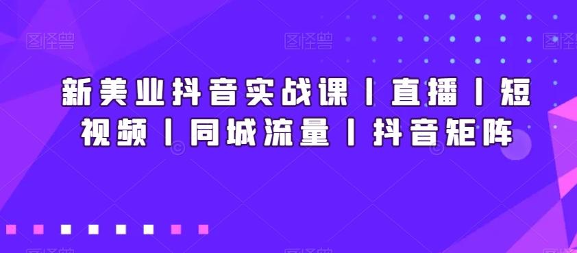 新美业抖音实战课丨直播丨短视频丨同城流量丨抖音矩阵-梦凌网创