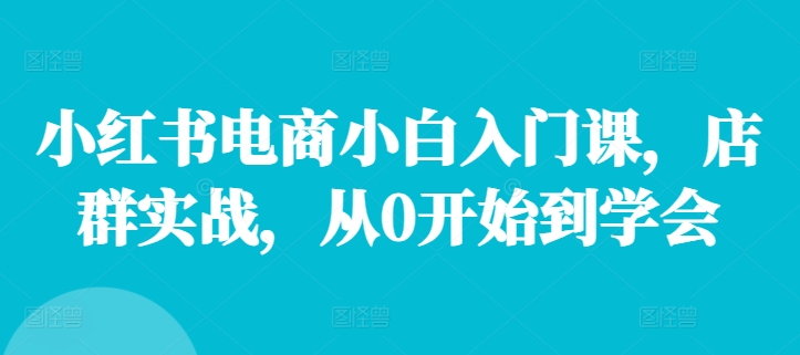 小红书电商小白入门课，店群实战，从0开始到学会-梦凌网创