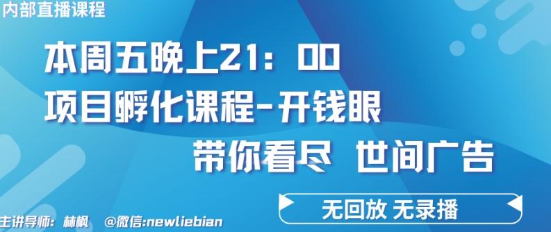 4.26日内部回放课程《项目孵化-开钱眼》赚钱的底层逻辑【揭秘】-薪火元第一资源库