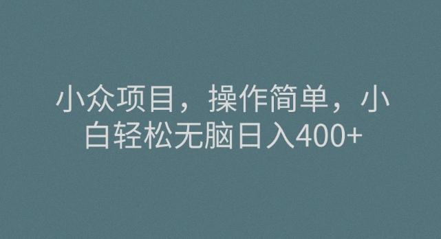 小众项目，操作简单，小白轻松无脑日入400+-梦凌网创