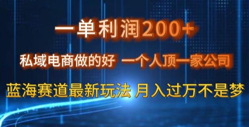 一单利润200私域电商做的好，一个人顶一家公司蓝海赛道最新玩法【揭秘】-薪火元第一资源库