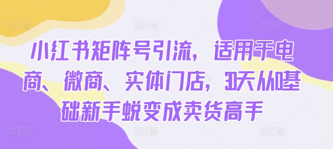 小红书矩阵号引流，适用于电商、微商、实体门店，30天从0基础新手蜕变成卖货高手-梦凌网创