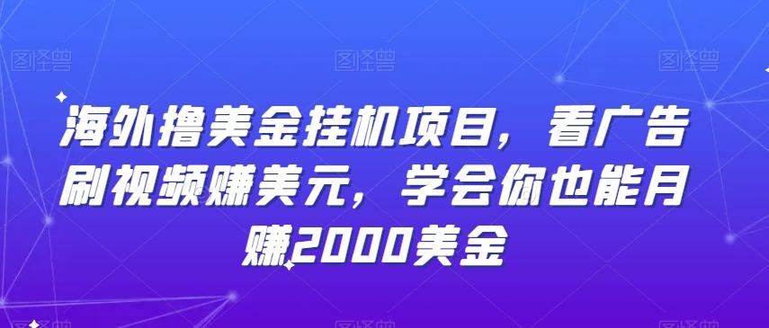 海外撸美金挂机项目，看广告刷视频赚美元，学会你也能月赚2000美金-梦凌网创