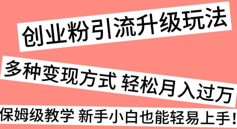 创业粉引流升级玩法，多种变现方式轻松月入过万，保姆级教学新手小白也能轻易上手！-梦凌网创