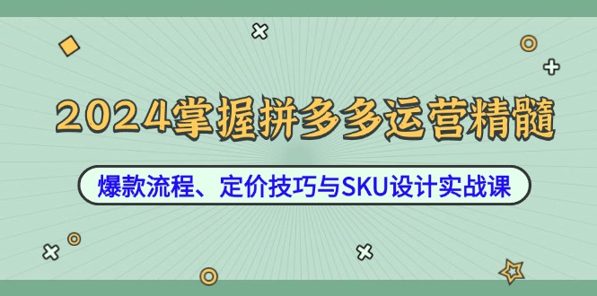 2024掌握拼多多运营精髓：爆款流程、定价技巧与SKU设计实战课-梦凌网创