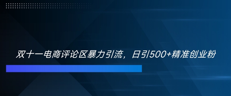 双十一电商评论区暴力引流，日引500+精准创业粉【揭秘】-梦凌网创
