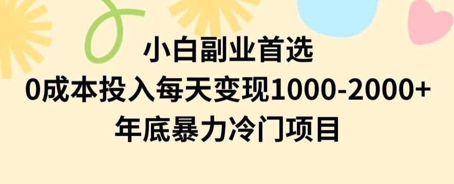 小白副业首选，0成本投入，每天变现1000-2000年底暴力冷门项目【揭秘】-薪火元第一资源库