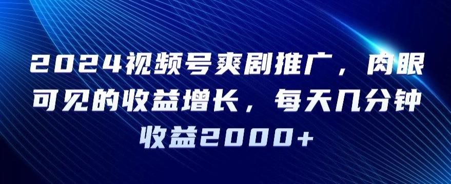 2024视频号爽剧推广，肉眼可见的收益增长，每天几分钟收益2000+【揭秘】-梦凌网创
