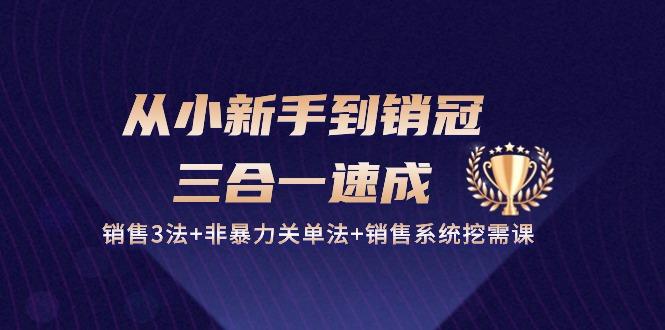 从小新手到销冠 三合一速成：销售3法+非暴力关单法+销售系统挖需课 (27节-梦凌网创