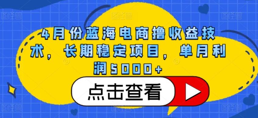 4月份蓝海电商撸收益技术，长期稳定项目，单月利润5000+【揭秘】-梦凌网创