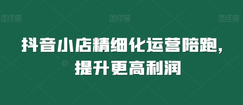 抖音小店精细化运营陪跑，提升更高利润-梦凌网创