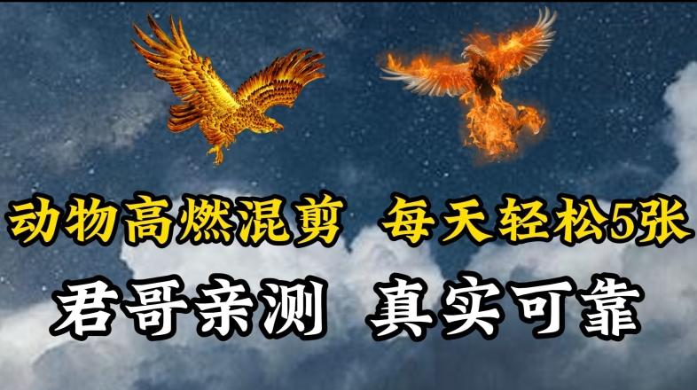 动物超燃混剪，每天轻松5张，剪辑简单大家爱看【揭秘】-梦凌网创