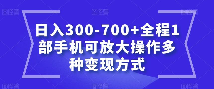 日入300-700+全程1部手机可放大操作多种变现方式【揭秘】-梦凌网创
