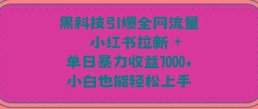 (9679期)黑科技引爆全网流量小红书拉新，单日暴力收益7000+，小白也能轻松上手-梦凌网创