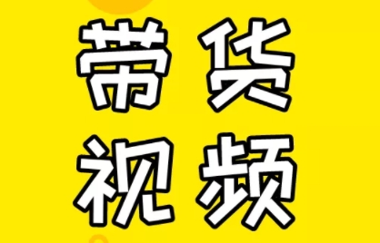 芒果老师·教你做抖音短视频和直播带货-梦凌网创