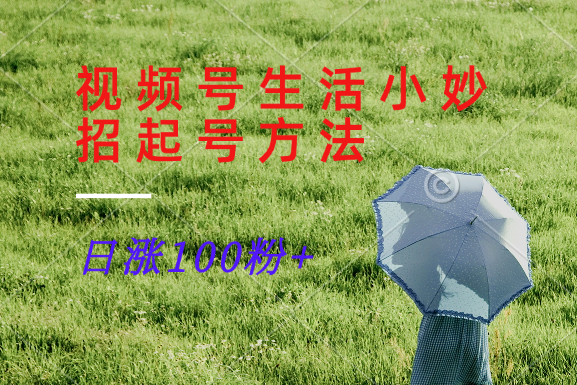 视频号生活小妙招分享赛道， 起号涨粉新方法，日涨100粉-梦凌网创