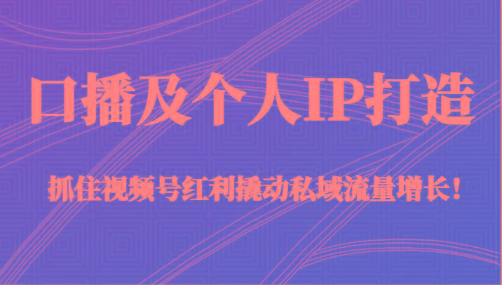 口播及个人IP打造，抓住视频号红利撬动私域流量增长！（45节课）-梦凌网创
