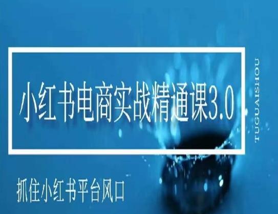 小红书电商实战精通课3.0，抓住小红书平台的风口，不错过有一个赚钱的机会-梦凌网创