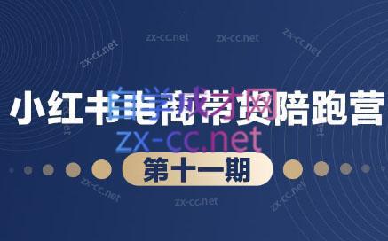 盗坤·小红书电商带货陪跑营(第十一期)-梦凌网创