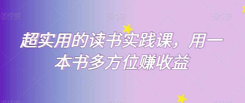 超实用的读书实践课，用一本书多方位赚收益-梦凌网创