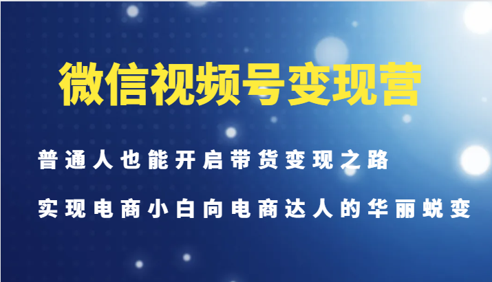 微信视频号变现营-普通人也能开启带货变现之路，实现电商小白向电商达人的华丽蜕变-梦凌网创