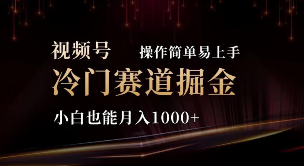 2024视频号冷门赛道掘金，操作简单轻松上手，小白也能月入1000+-梦凌网创