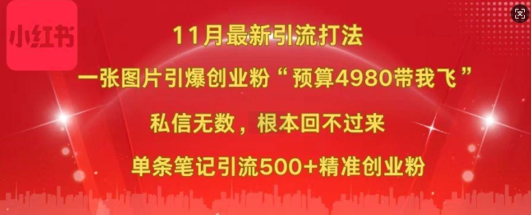 小红书11月最新图片打粉，一张图片引爆创业粉，“预算4980带我飞”，单条引流500+精准创业粉-梦凌网创