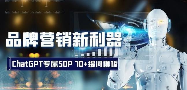 品牌营销新利器：ChatGPT专属SOP，70+提问模板【文档】-梦凌网创