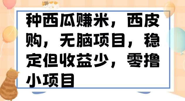 种西瓜赚米，西皮购稳定长久零撸小项目-梦凌网创