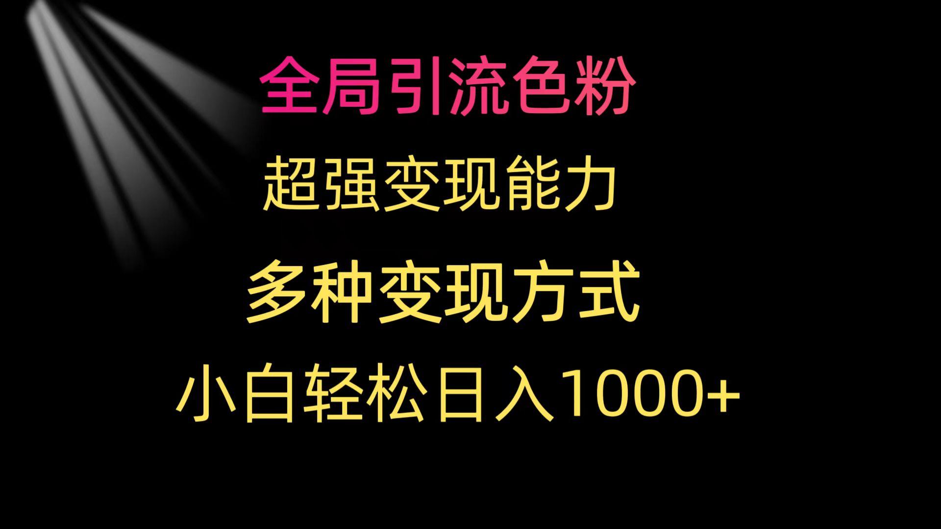 (9680期)全局引流色粉 超强变现能力 多种变现方式 小白轻松日入1000+-梦凌网创