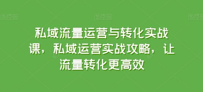 私域流量运营与转化实战课，私域运营实战攻略，让流量转化更高效-梦凌网创
