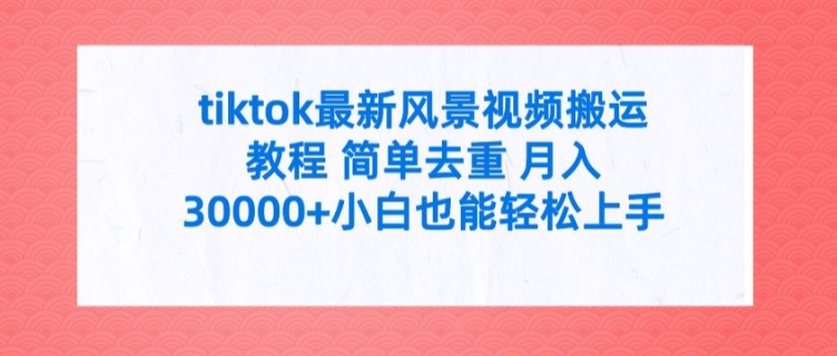 tiktok最新风景视频搬运教程 简单去重 月入3W+小白也能轻松上手【揭秘】-梦凌网创