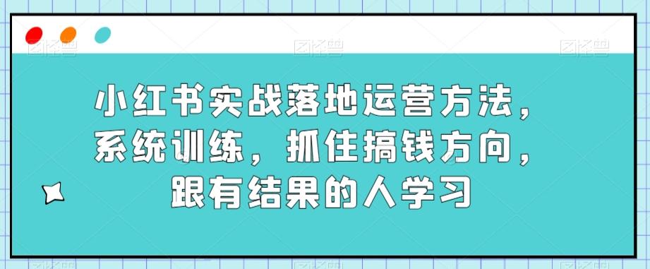 小红书实战落地运营方法，系统训练，抓住搞钱方向，跟有结果的人学习-梦凌网创