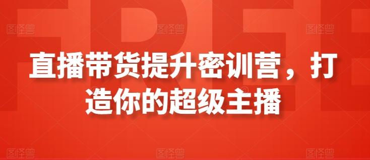 直播带货提升密训营，打造你的超级主播-梦凌网创