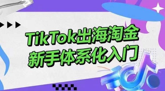 TikTok出海淘金，新手体系化入门，零基础快速入门，掌握短视频、直播带货等引流到变现的知识-梦凌网创