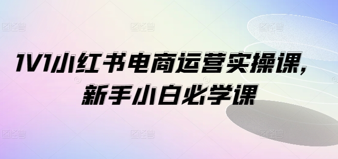 1V1小红书电商运营实操课，新手小白必学课-梦凌网创