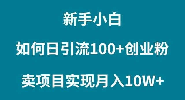 (9556期)新手小白如何通过卖项目实现月入10W+-梦凌网创