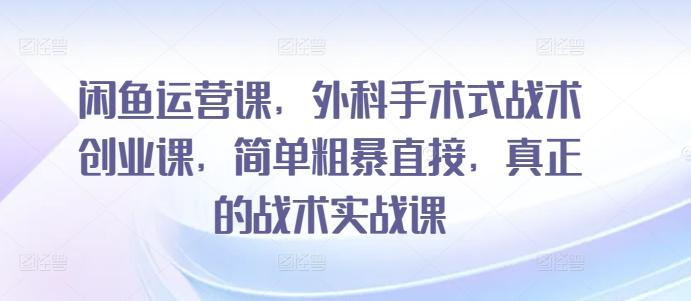 闲鱼运营课，外科手术式战术创业课，简单粗暴直接，真正的战术实战课-梦凌网创