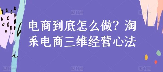 电商到底怎么做？淘系电商三维经营心法-薪火元第一资源库