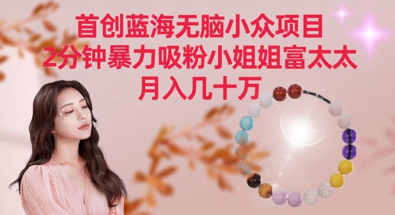 首创蓝海无脑小众项目，2分钟暴力吸粉小姐姐富太太，月入几十万【揭秘】-梦凌网创