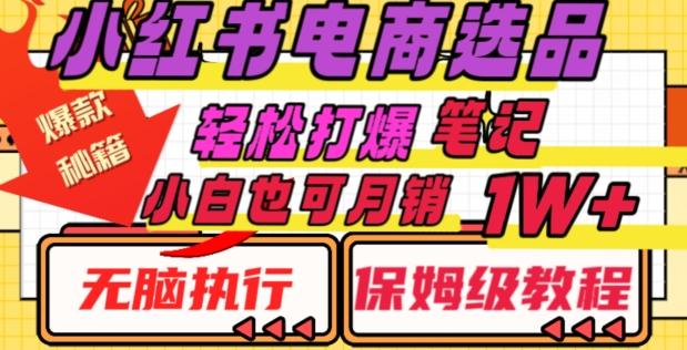 小红书电商爆款选品秘籍，帮你轻松打爆笔记，小白也可轻松月销10000+-梦凌网创