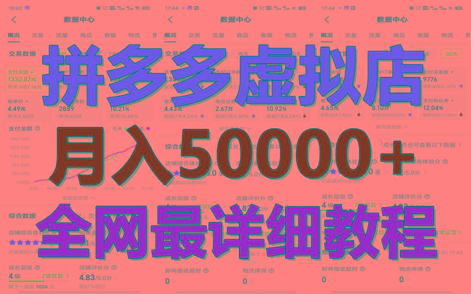 拼多多虚拟电商训练营月入50000+你也行，暴利稳定长久，副业首选-梦凌网创
