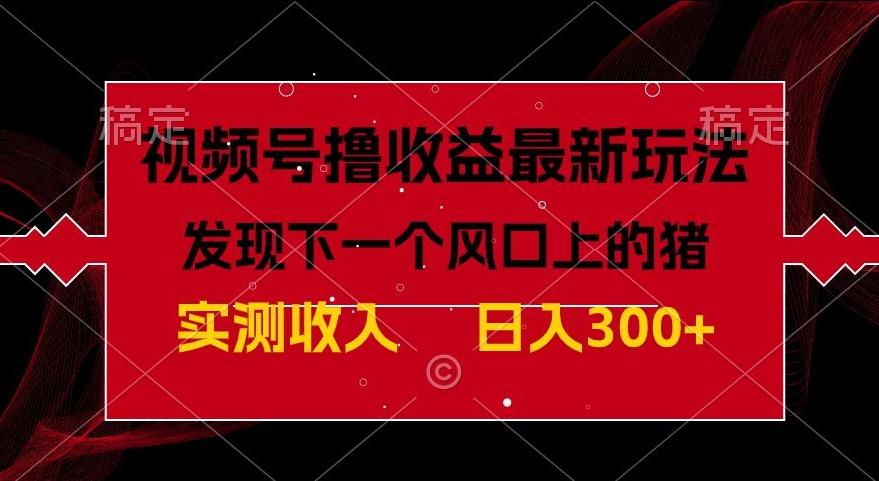 视频号分成计划最新玩法，单条作品几分钟制作完成,日入300+，过年前最后的冲刺-梦凌网创