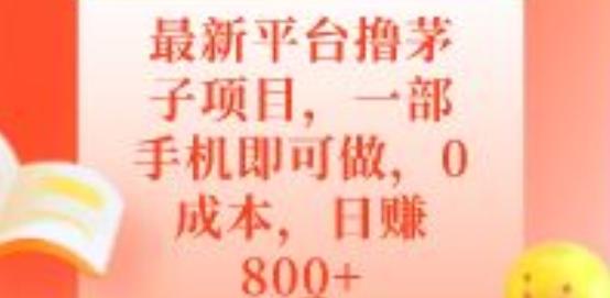 最新平台撸茅子项目，一部手机即可做，0成本，日赚800+-梦凌网创