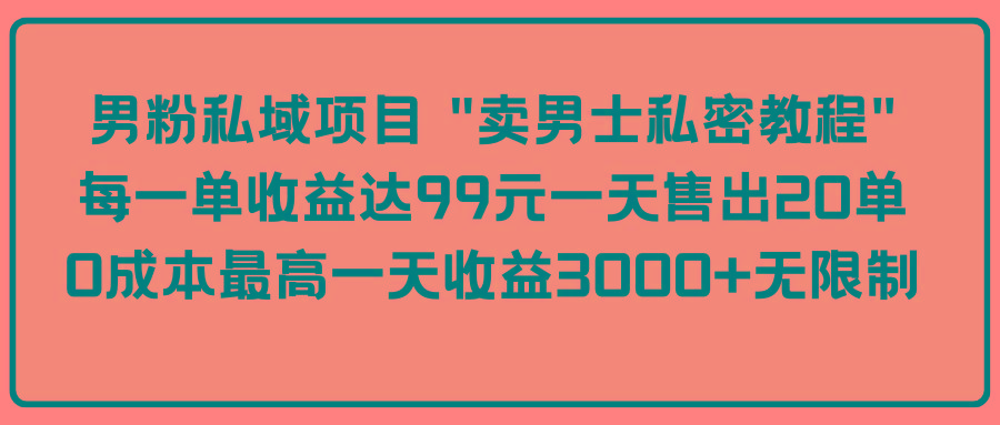 (9730期)男粉私域项目 “卖男士私密教程” 每一单收益达99元一天售出20单-梦凌网创