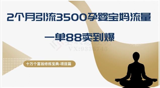 十万个富翁修炼宝典之13.2个月引流3500孕婴宝妈流量，一单88卖到爆-梦凌网创