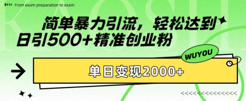 简单暴力引流，轻松达到日引500+精准创业粉，单日变现2k【揭秘】-梦凌网创